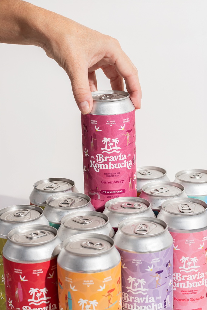 Bravía Kombucha x 6 unidades 473ml – Mix sabores